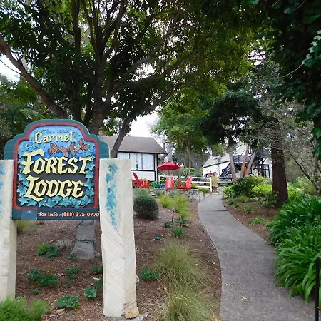 Forest Lodge-2